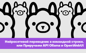 Нейросетевой переводчик в командной строке, или Приручаем API Ollama и OpenWebUI