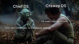 Куда расти Data Scientist и какие навыки для этого нужны