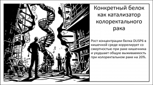 Конкретный белок как катализатор колоректального рака. И как цель в лечении