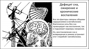 24 часа без сна провоцируют развитие ожирения