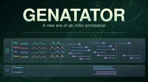 GENATATOR: учим языковые модели для ДНК восстанавливать структуру генов