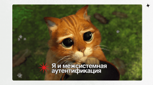 Самый подробный туториал с котами по межсистемной аутентификации для начинающих