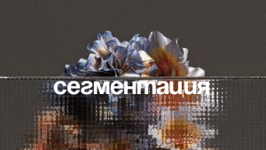 Модели сегментации клиентов целевого бизнеса