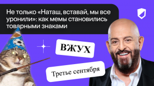 Не только «Наташ, вставай, мы все уронили»: как мемы становились товарными знаками