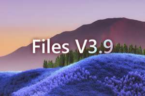 Релиз Files 3.9 — открытой альтернативы стандартному проводнику Windows 10/11