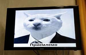 PAL видеоадаптер на FPGA с буфером кадра