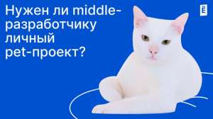 Нужен ли middle-разработчику личный pet-проект?