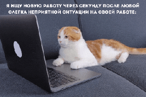 «Уволиться нельзя остаться»: где поставить запятую?