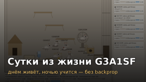 Сутки из жизни G3A1SF: как я учу агента без backprop — днём он живёт, ночью учится