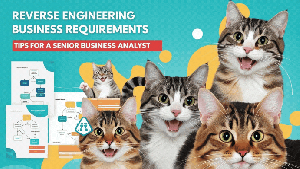 Reverse Engineering бизнес требований советы для Senior Business Analyst 