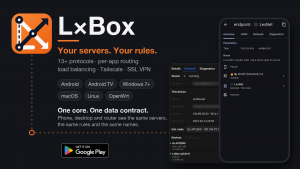 L×Box: от VPN-клиента до экосистемы управления сетевым трафиком