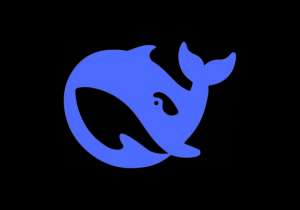 DeepSeek R1: раскройте возможности моделей DeepSeek R1. Полное руководство для новичков и экспертов