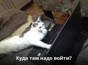 Войти в IT по-гуманитарному