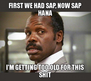 Что пошло не так, при переходе в промышленную эксплуатацию SAP? Суд Bearing Point vs Segezha group