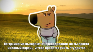 Как я обучал студентов системной аналитике и почему мне понравилось