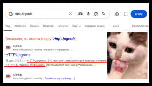Не только для «обхода». Что такое Http Upgrade и как его использовать в .NET