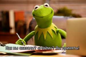 Узус или тренд на безграмотность