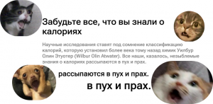 Вы не понимаете теорию калорийности! Вот все, что нужно о ней знать