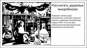 Инженерный подход к ЗОЖу. Рассчитай свой микробиом