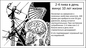 Четыре кружки пива в день – минус 10 лет для мозга