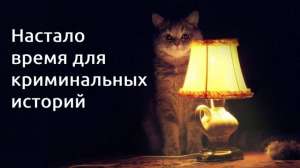 Великолепный век от PQ.Hosting: как арест в миллион долларов изменил жизнь команды