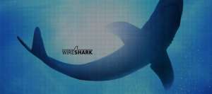 Релиз Wireshark 4.4.4