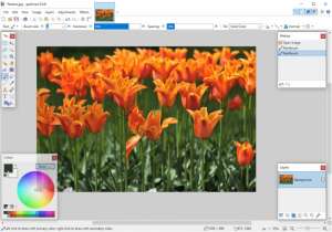 Вышел Paint.NET 5.1.5