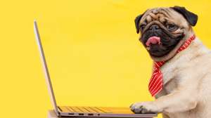 Использование систем мониторинга Datadog при разработке проекта на Azure