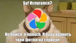 Как за пару минут установить на свой сервер Immich — полноценную замену Google и Apple iCloud