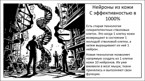 Трансформация клеток кожи в функциональные нейроны