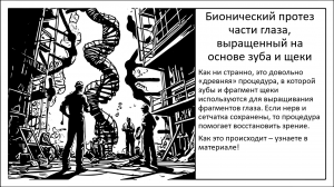 От зуба к глазу. Максимально нативное восстановление зрения