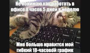 От кода до бизнеса: как я совмещаю разработку на 1С и управление своей компанией (спойлер: сложно, но интересно)