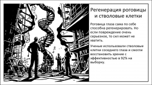 Терапия стволовыми клетками устраняет «необратимые» повреждения роговицы