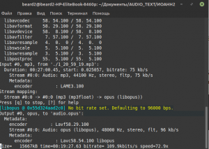 Трансскрибация в Linux + lifehack