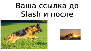 Запускаем собственный сокращатель ссылок Slash на VPS
