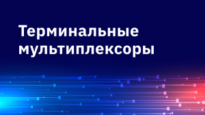 Терминальные мультиплексоры