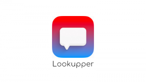 Lookupper: как игровой оверлей помогает изучать языки