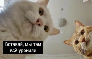 Как планы действий помогают нам работать с аварийными ситуациями в критических системах