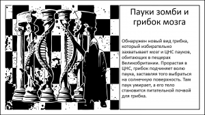Пауки-зомби и гриб, врастающий в мозг