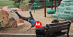 Motorola: история краха компании, которая создала первый мобильный телефон