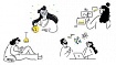 Из экономистов в дата-сайнтисты или как стать лидером рейтинга Kaggle Notebooks
