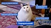CSS и XPath для QA: чтобы разобраться с локаторами, нужно всего лишь…