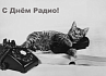 Устройство с биографией: краткая история появления телефона