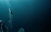 Забытая эволюция челюстей: от дунклеостея до человека