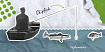 Обзор сканера skipfish