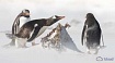 Что нового в Linux kernel 5.3 — графические драйверы, виртуализация и модификации в сетевой подсистеме