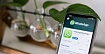 Как я подключил официальный бизнес API WhatsApp через Twilio