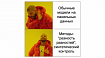 Построение моделей на панельных данных в Python, часть 1
