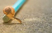 Ситуация: компании не торопятся разрабатывать сервисы для голосовых помощников — какие есть риски