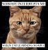 Погружение qa junior в пучину API с использованием SoapUI(Open Source)